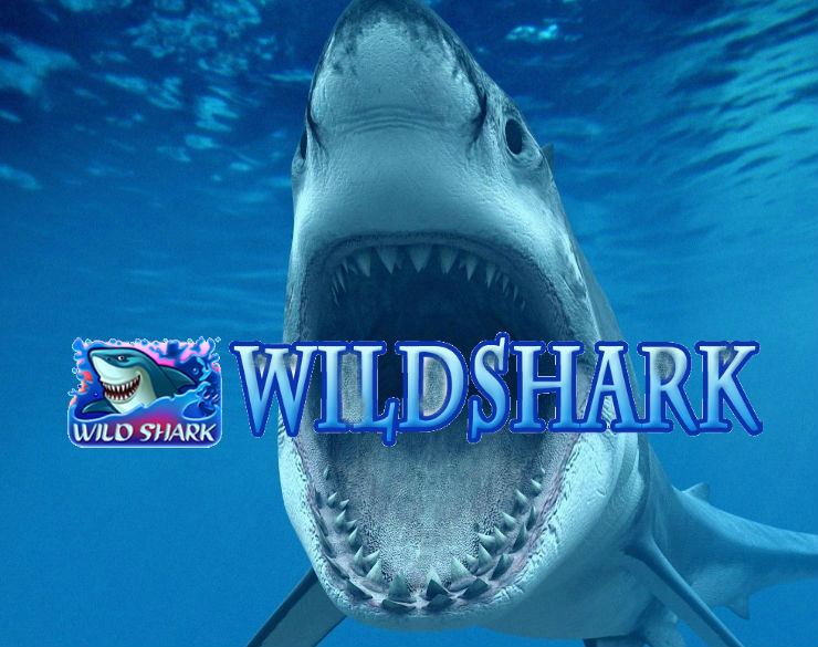 Shark demo. Wild Shark слот. Wild Shark Slot. Feral Shark.