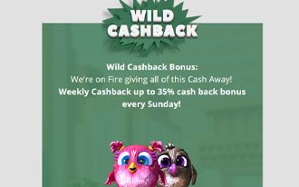 CryptoWild Casino No Deposit Bonus